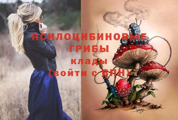 МДПВ Абаза