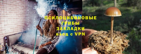 МДПВ Абаза