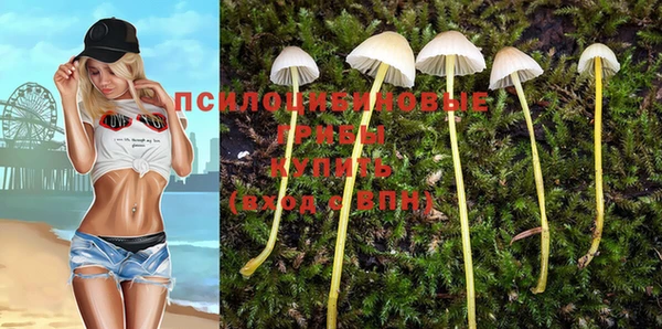 бутират Ельня